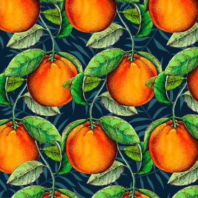 Andalusian Oranges, 2017 by Unbekannt Unbekannt